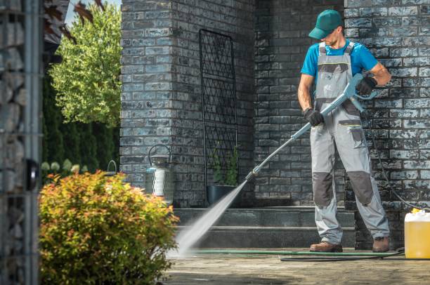 Best Animal Enclosure Cleaning  in Baldwin, NY